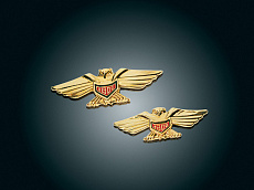 Кондор, декор для Goldwing 1800