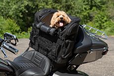 Кофр для питомца Pet Palace Titan